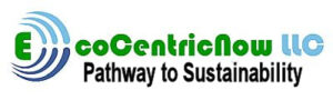EcoCentricNow LLC Logo and Tagline