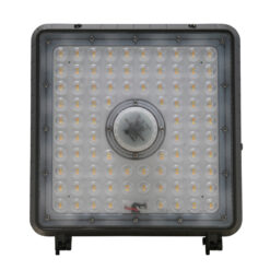 LED-Canopy-Light-CP10LLKFS-Lens-View.