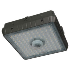 LED Canopy Light CP10LLKFS Profile VIew